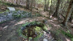 Lázně Jeseník – Studniční vrch - Jeseník