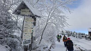 Ovčárna - Temná - Kapličkový vrch - Malá Morávka