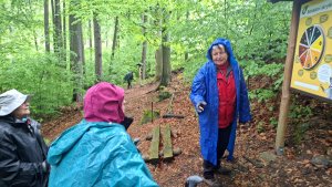 Lesní zážitková NS - Komňátka - štola Mařka – Bohdíkov - Komňátka