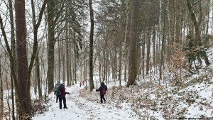Kokeš - hromadný hrob - Šumperk