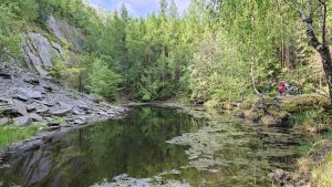 Pohořany - Strom splněných přání - Cesta světla - Bělkovice-Lašťany