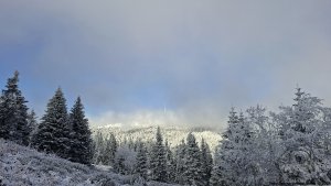 Ovčárna - Temná - Kapličkový vrch - Malá Morávka