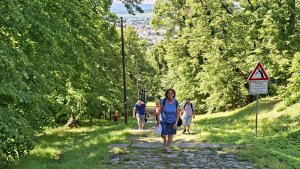 Krnov - Cvilín - zřícenina hradu Šelenburk - rozhledna Hanse Kudlicha - Úvalno
