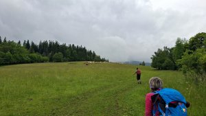 Vysoké Žibřidovice - Cibulka - Sviní hora - Vojtíškov - Podlesí
