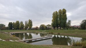 Rajhrad - Židlochovice - rozhledna Akátová věž - Blučina