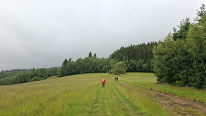 Vysoké Žibřidovice - Cibulka - Sviní hora - Vojtíškov - Podlesí