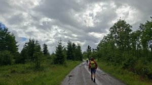 Ždiar - Strednica - Magurka - Bachledova dolina