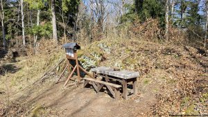 Jindřichov - zřícenina hradu Pleče - Hanušovice