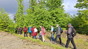 Pohořany - Strom splněných přání - Cesta světla - Bělkovice-Lašťany