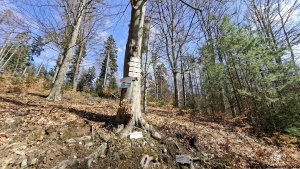 Olšany - Bartoňov - Radomilov - Kostelíček - Šumperk