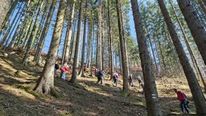 Jindřichov - zřícenina hradu Pleče - Hanušovice