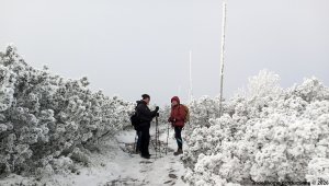 Ovčárna - Temná - Kapličkový vrch - Malá Morávka