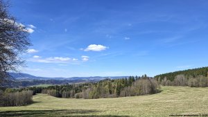 Šumperk - Velké Losiny - Přemyslov - Pekařov - Šumperk