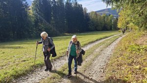 Horní Lipová - NS Johanna Schrotta - Lipová Lázně