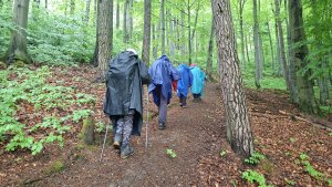Lesní zážitková NS - Komňátka - štola Mařka – Bohdíkov - Komňátka