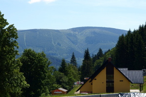 Mravenečník od Přemyslova.