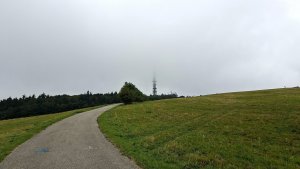 Javořina - Velká Javořina - Holubyho chata - Květná
