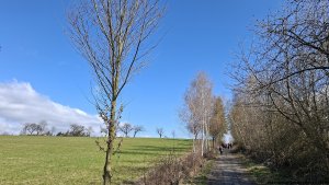 Olšany - Bartoňov - Radomilov - Kostelíček - Šumperk