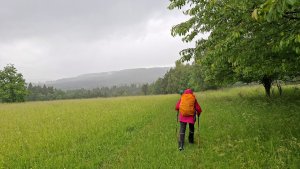 Vysoké Žibřidovice - Cibulka - Sviní hora - Vojtíškov - Podlesí