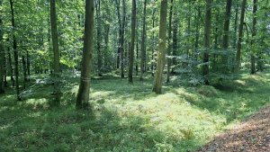 Úsov - Litovelské Pomoraví - Doubrava - Moravičany