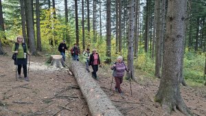 Horní Lipová - NS Johanna Schrotta - Lipová Lázně
