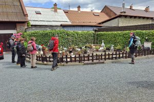 Pohořany - Strom splněných přání - Cesta světla - Bělkovice-Lašťany