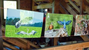 1. máj na rozhledně - vernisáž fotek Jitky Látalové