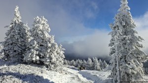 Ovčárna - Temná - Kapličkový vrch - Malá Morávka