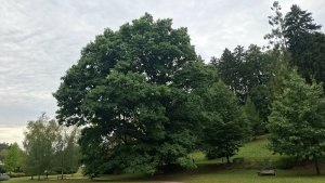 Luhačovice – okruh Dušana Jurkoviče