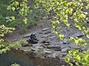 Pohořany - Strom splněných přání - Cesta světla - Bělkovice-Lašťany