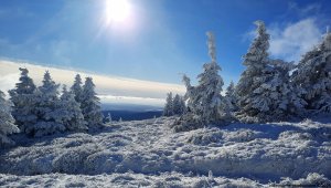Ovčárna - Temná - Kapličkový vrch - Malá Morávka