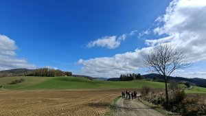 Olšany - Bartoňov - Radomilov - Kostelíček - Šumperk