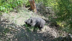 Libina - Tři kameny - Bradlo - Nová Hradečná Jana hadra Vlasta Vidrmanová
