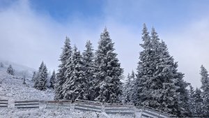 Ovčárna - Temná - Kapličkový vrch - Malá Morávka