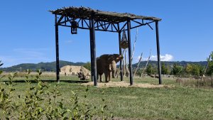 ZOO Lešná