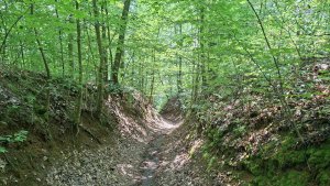 Úsov - Litovelské Pomoraví - Doubrava - Moravičany
