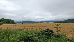 Kobylá nad Vidnavkou - Mojmírův rybník - Lánský vrch - Žulová