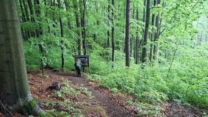 Lesní zážitková NS - Komňátka - štola Mařka – Bohdíkov - Komňátka